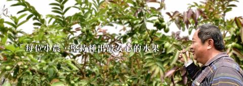 Maggie - 網站banner製作