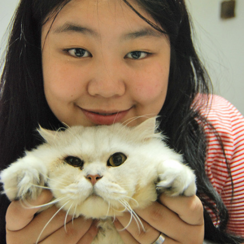 提供寄養服務的專家Eris