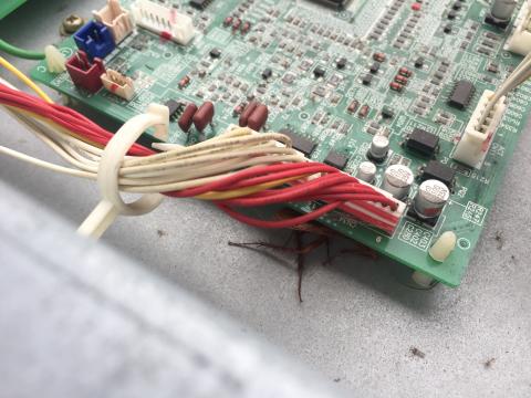 余柏毅 - 蟑螂跑進去機板造成短路！需更換新的！