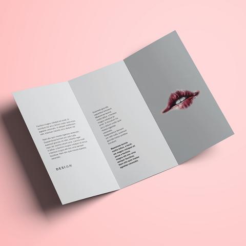 林宜靜 Sonia Lin - 插畫、印刷、傳單