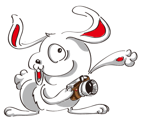 私人接案 - Iine貼圖-飄耳兔