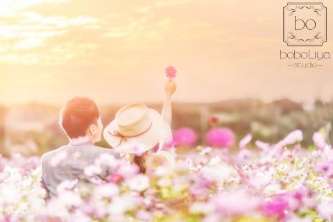 波波莉亞 boboliya studio  - 