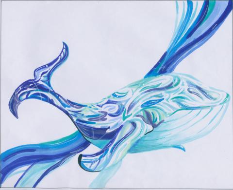 Shane - 海中的鯨魚