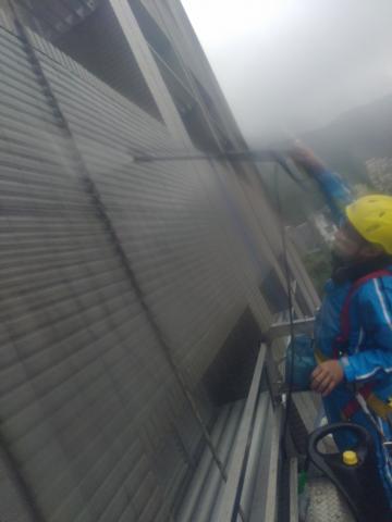創鑫外牆有限公司 - 去除青苔