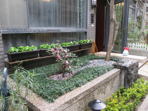 新竹綠的空間-園藝美化工程 - 