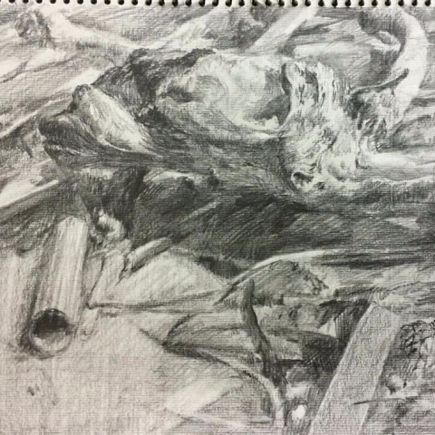 兜馬工作室 - 素描示範