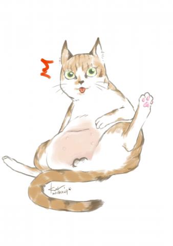 【肥貓圓滾滾】吳嘉芸個人 - 電繪動物插圖