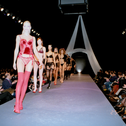 大鼻子詹姆仕的新視界 - 