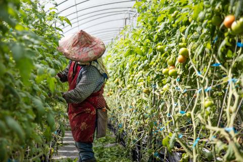 奕汎攝室企業社 - 職人紀錄