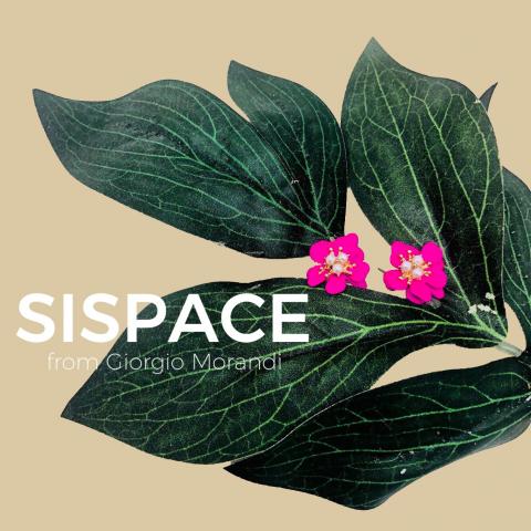 杜佳蓉 - 視覺設計&mdash;韓國飾品