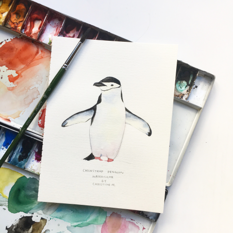 Everyone can paint  - 