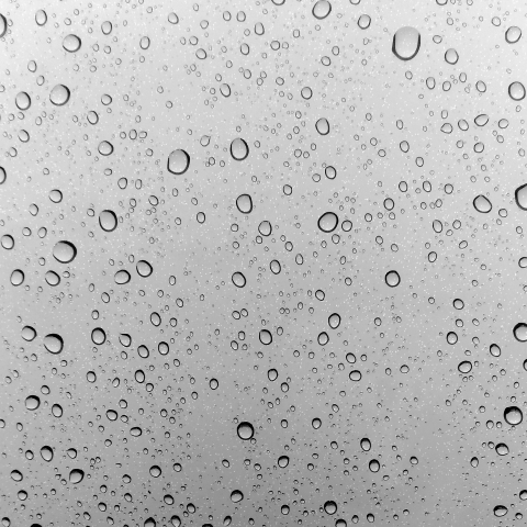 提供2143網拍服務的專家黃郁寍