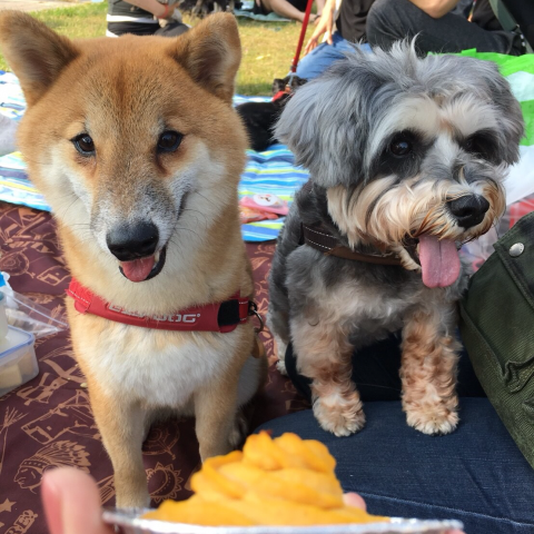 提供劉嘉雯服務的專家巫雅雯