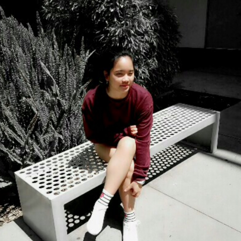 提供美國加州服務的專家李仁文 Alexis Lee