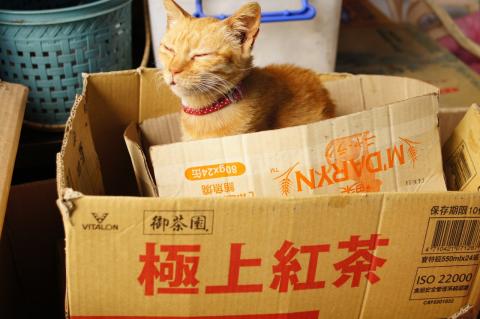 許庭安 - 個人攝影圖集