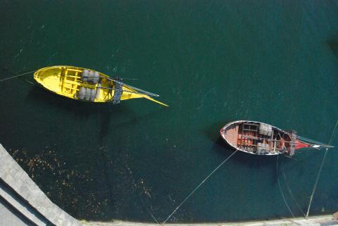 楊妮妮 - Douro
斗羅河（葡萄牙語：Douro，西班牙語：Duero）是伊比利亞半島上的一條主要河流。發源於西班牙索里亞省，自東向西，最終在葡萄牙波多南約3公里處注入大西洋，長897公里，流域面積9.8萬平方公里。 