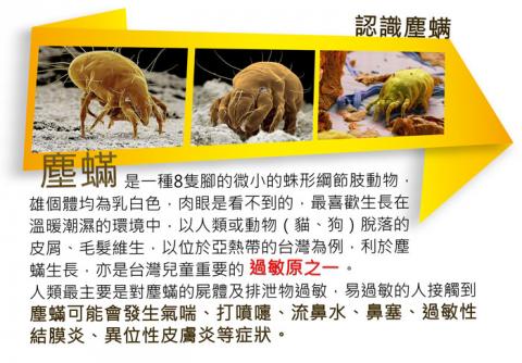 清塵除螨專家 - 顯然塵螨是主因  灰塵1公克重等於有1000隻的塵螨.....
 清塵除螨專家 - 顯然塵螨是主因  灰塵1公克重等於有1000隻的塵螨.....