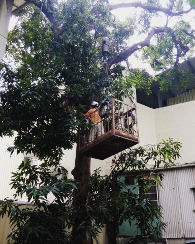 嘉義清潔公司 - 