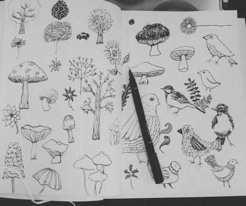 劉品希 - &copy;aNiark