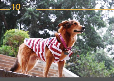 黑糖創意工作室 - 個人使用月曆