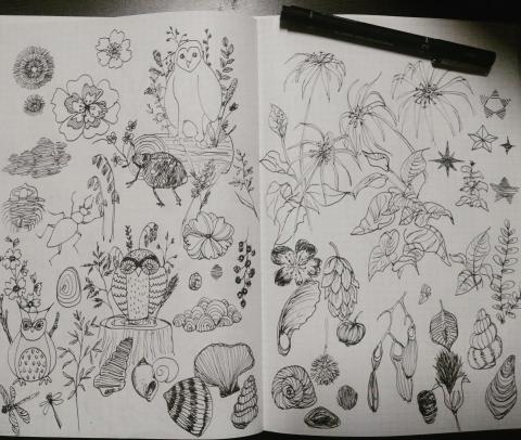 劉品希 - &copy;aNiark