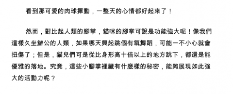 Esther Yang - 可愛活潑的社群文章