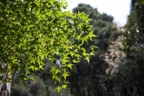 何浚瑋 - 風景照2