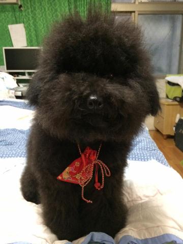 提供行銷學林建煌服務的專家林建逸