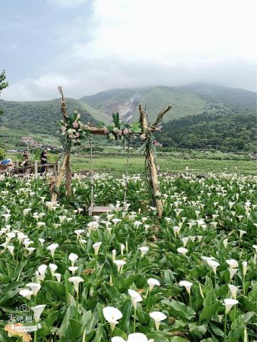 提供生日卡服務的專家New things company 紐星獅