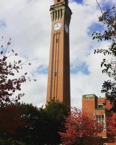 提供matlab書服務的專家Sherlock Huang