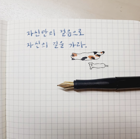 【韓語/韓文】【翻譯/家教】Jessica - 韓文鋼筆字