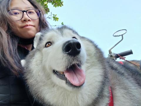 提供桌球服務的專家林軒語