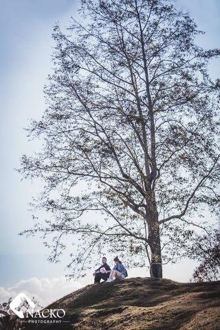 哪隻狗Nacko Photography 創作影像 - 清新甜美清境農場