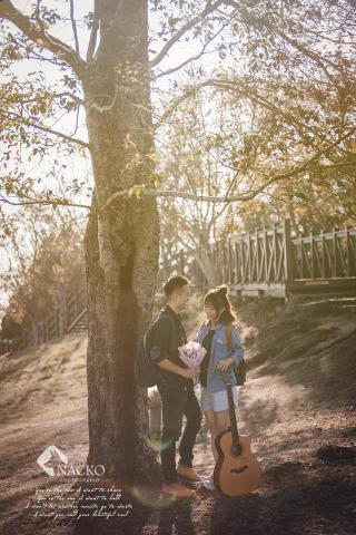 哪隻狗Nacko Photography 創作影像 - 清新甜美清境農場