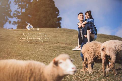 哪隻狗Nacko Photography 創作影像 - 清新甜美清境農場