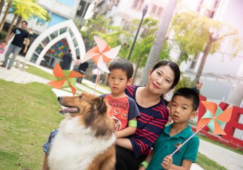 天際影相工作室 -  天際影相工作室 -