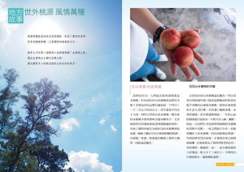 Gin - 期刊文字排版