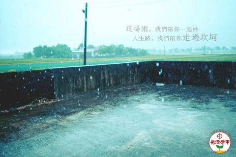 Gin - 照片＋排版