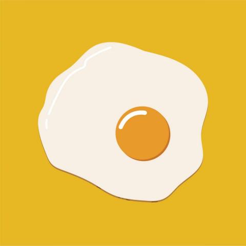 提供n4服務的專家Ryu Wang