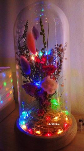 大麥能源有限公司Dalma - 