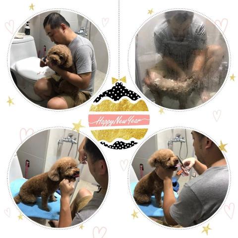 黑碳爸居家寵物美容 - 提供寵物美容的專家 黑碳爸居家寵物美容 - 提供寵物美容的專家