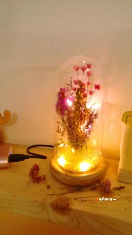 大麥能源有限公司Dalma - 