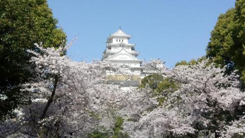 提供n2服務的專家Koby