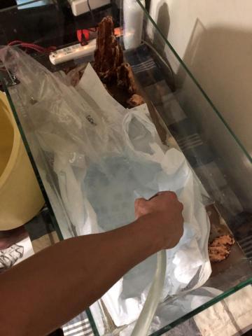 提供新店扯鈴服務的專家扯鈴王