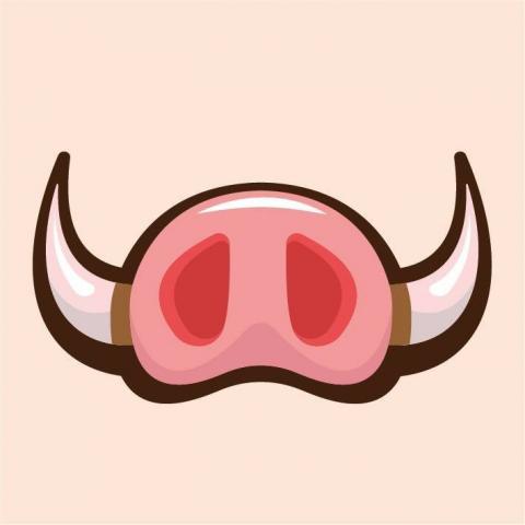 提供印章盒子服務的專家肥肥野豬