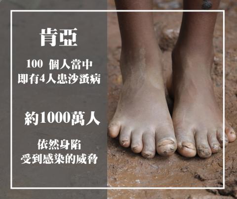 黃品瑄 - 節錄文字:
【渺渺之蚤，其害也甚】

沙蚤是全世界目前所知最小的跳蚤，
但是，被跳蚤咬? 很嚴重嗎?

最小，卻殺傷力強大，
在東非的土地上僅0.1公分大小的沙蚤，
幾乎無處不在，乾燥的土壤和沙地正是他們的最愛，
容易攀附、侵入在裸露的雙腳皮膚上，
而沙蚤病即是因為沙蚤寄生在皮膚裡所引起。
