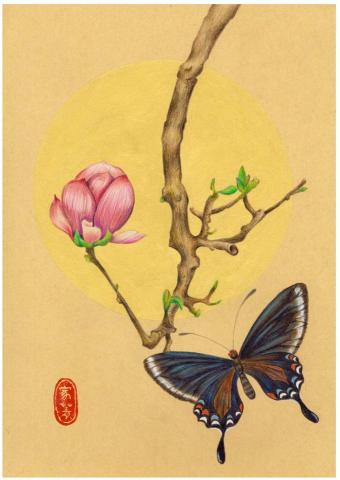 家菁 - 玉蘭-色鉛筆