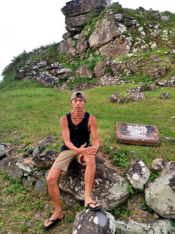 提供訓練狗服務的專家巫教練