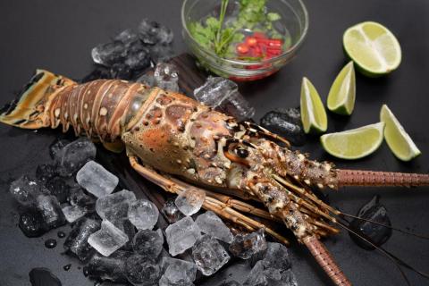 🎥森之映像📸 - 食材、菜單攝影