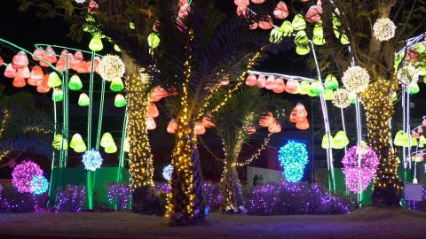 Doris Huang - 2019台灣燈會－主展場光環境企劃執行